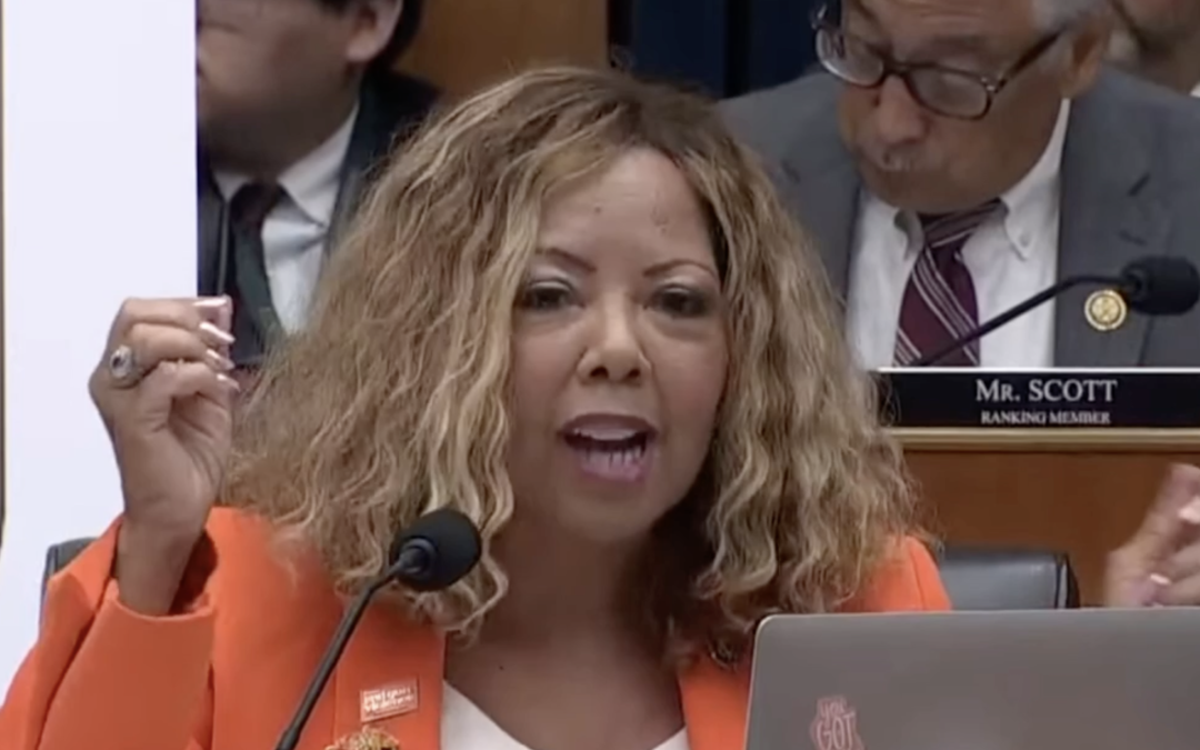 MSN Video: ‘You Cancelled This Program For Students’: Rep. Lucy McBath Grills Incompetent Secretary Linda McMahon Over Inhumane Cuts to American Kids’ Education