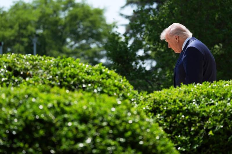 The Trace: Democrats to Trump: Restore Gun Violence Prevention Funding