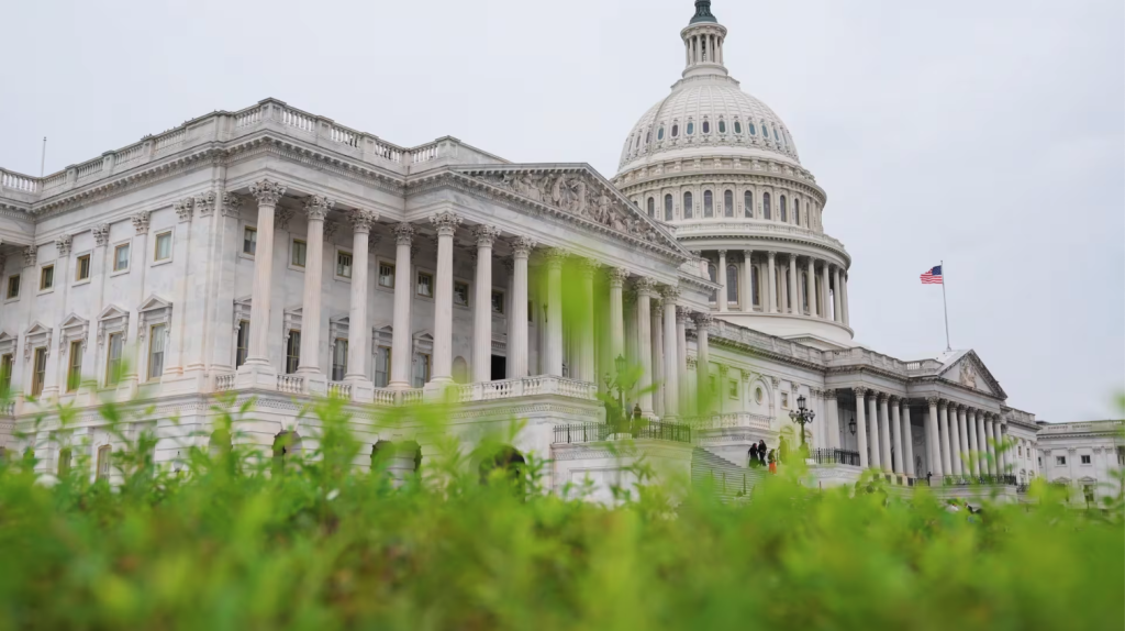 McBath, New Dems Unveil Affordability Agenda to Address the Cost of Living Crisis - Related Image