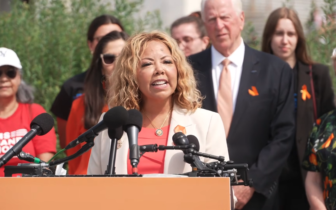 McBath, Democratic Women’s Caucus, Thompson, Dingell Highlight Domestic Violence Solutions During Gun Violence Prevention Month 