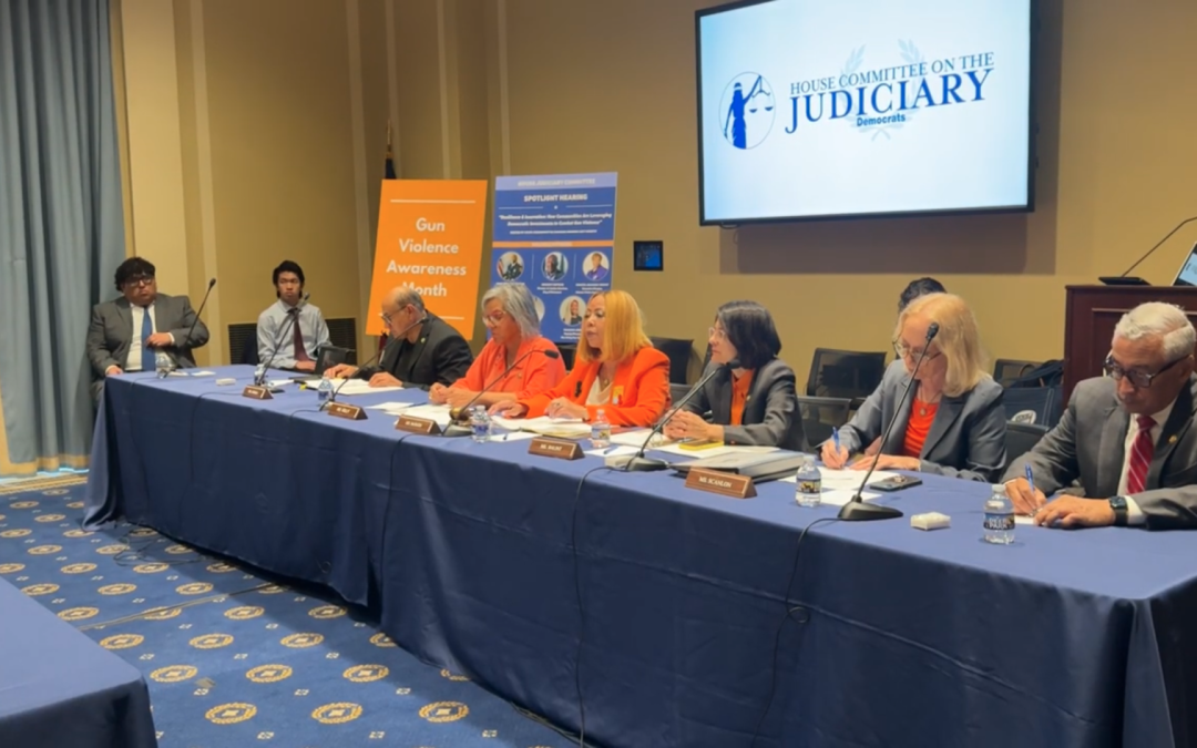 Crime Subcommittee Ranking Member McBath Hosts Spotlight Hearing on Gun Violence Prevention